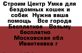 Строим Центр Умка для бездомных кошек и собак! Нужна ваша помощь - Все города Бесплатное » Возьму бесплатно   . Московская обл.,Ивантеевка г.